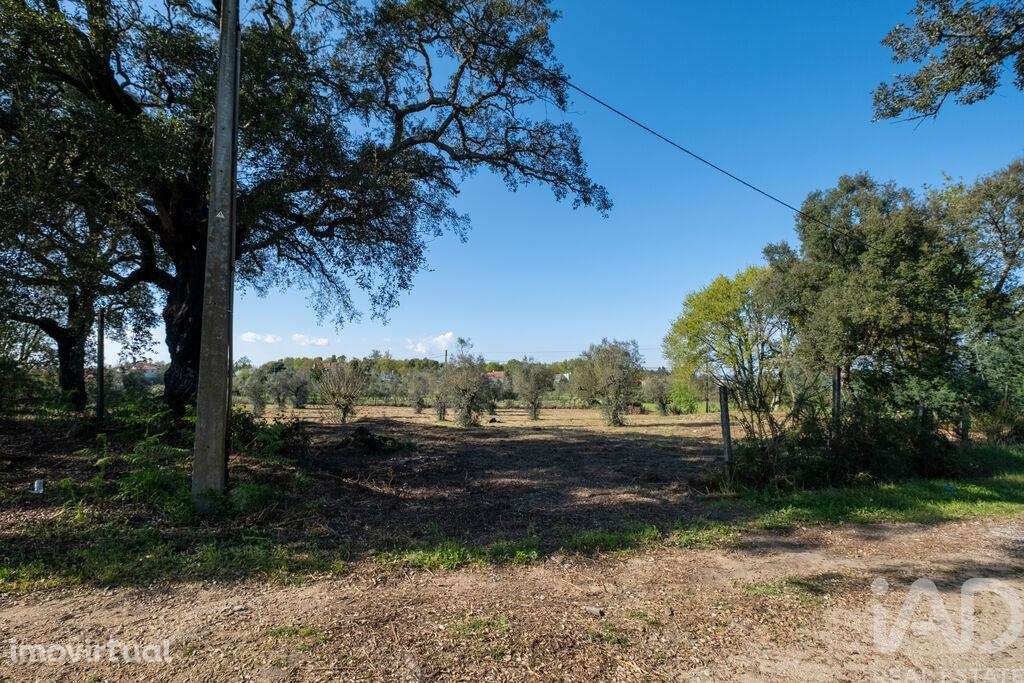 Terreno em Ovoa e Vimieiro - Grande imagem: 3/15