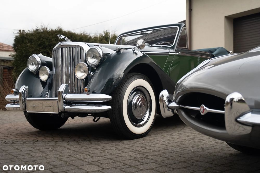 Jaguar Inny - 2