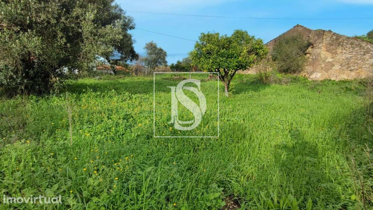 Moradia Devoluta T3 Venda em Assentiz,Torres Novas - Grande imagem: 4/17