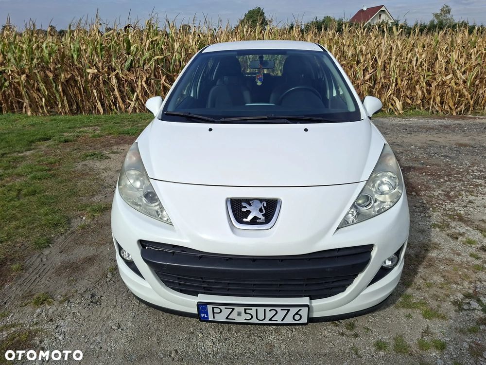 Peugeot 207 - 17
