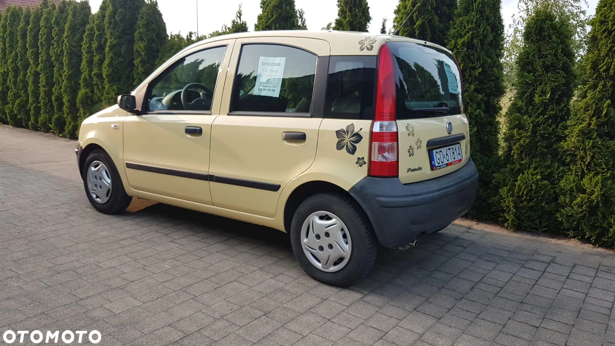 Fiat Panda 1.1 Active Eco - 3