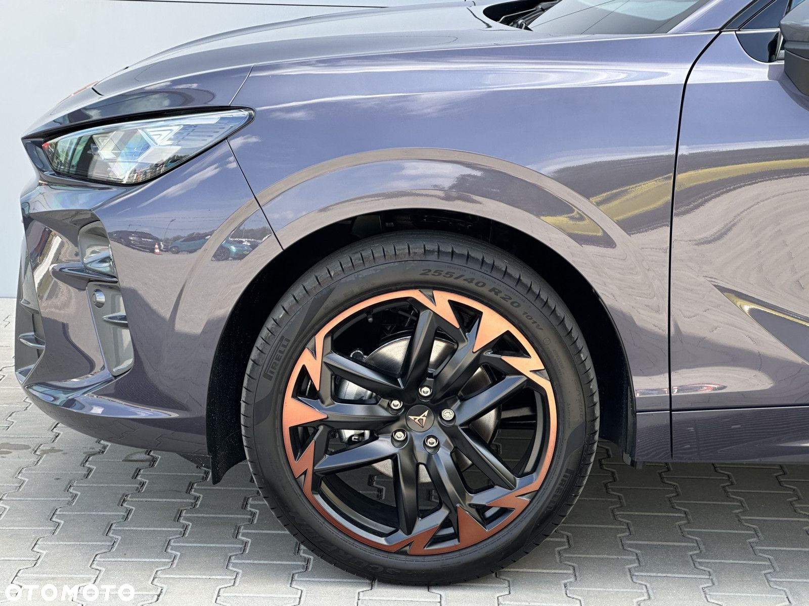 Cupra Terramar - 8