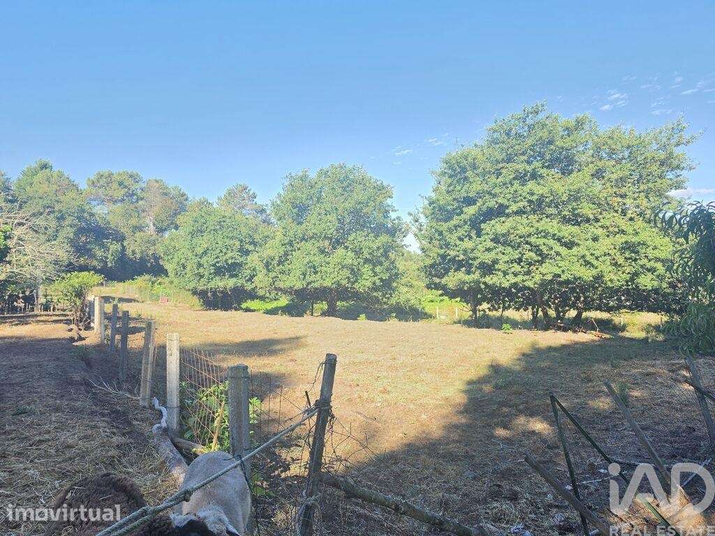 Terreno em Loivo - Grande imagem: 2/11