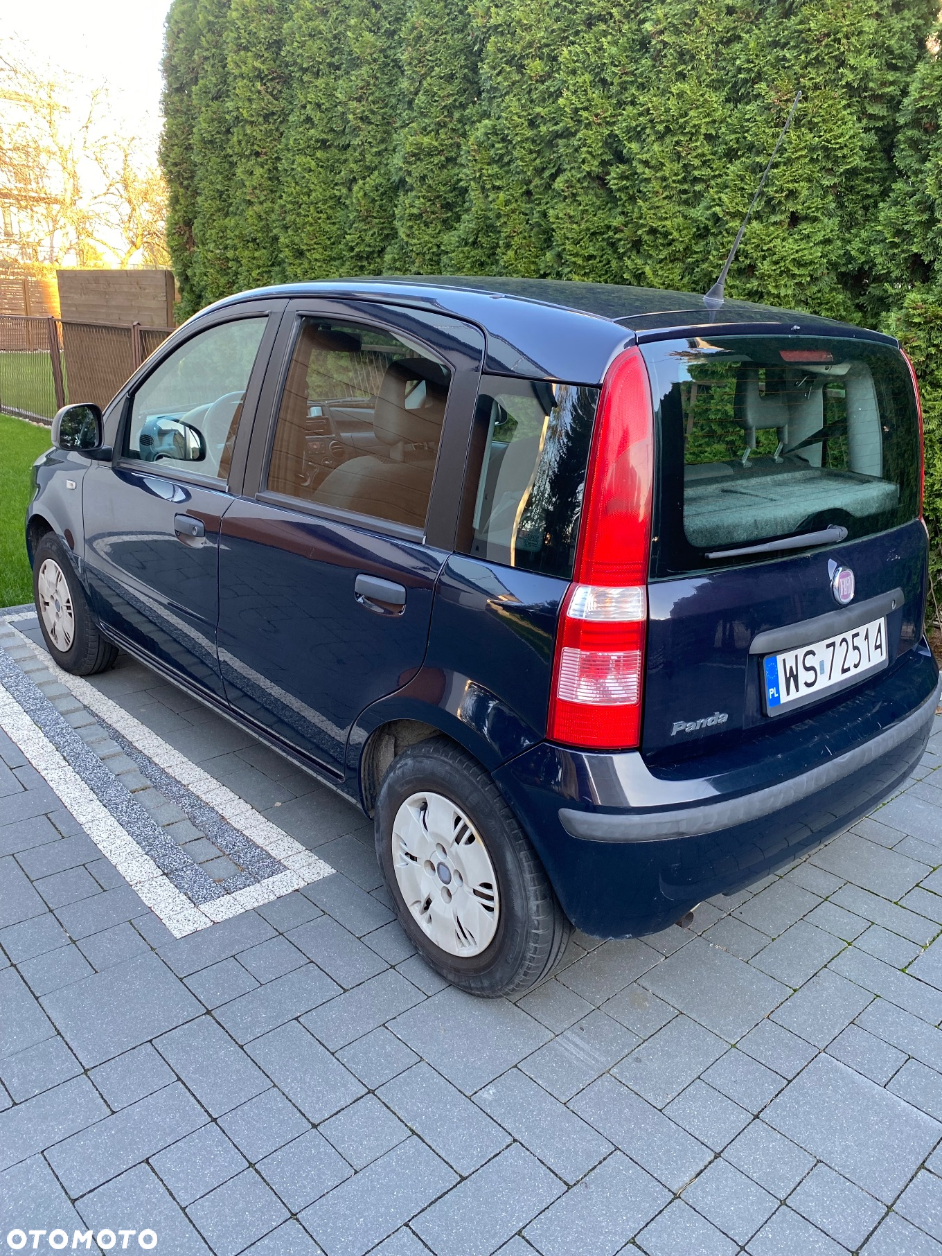Fiat Panda - 2