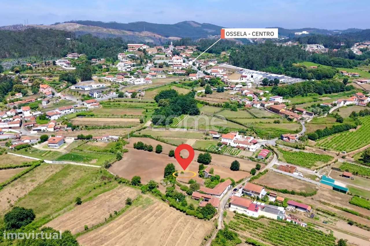 Quinta para Investimento | junto ao Rio Caima | Ossela OAZ - Grande imagem: 3/19