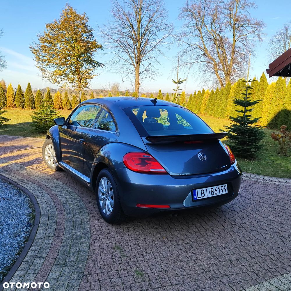 Volkswagen Beetle - 8