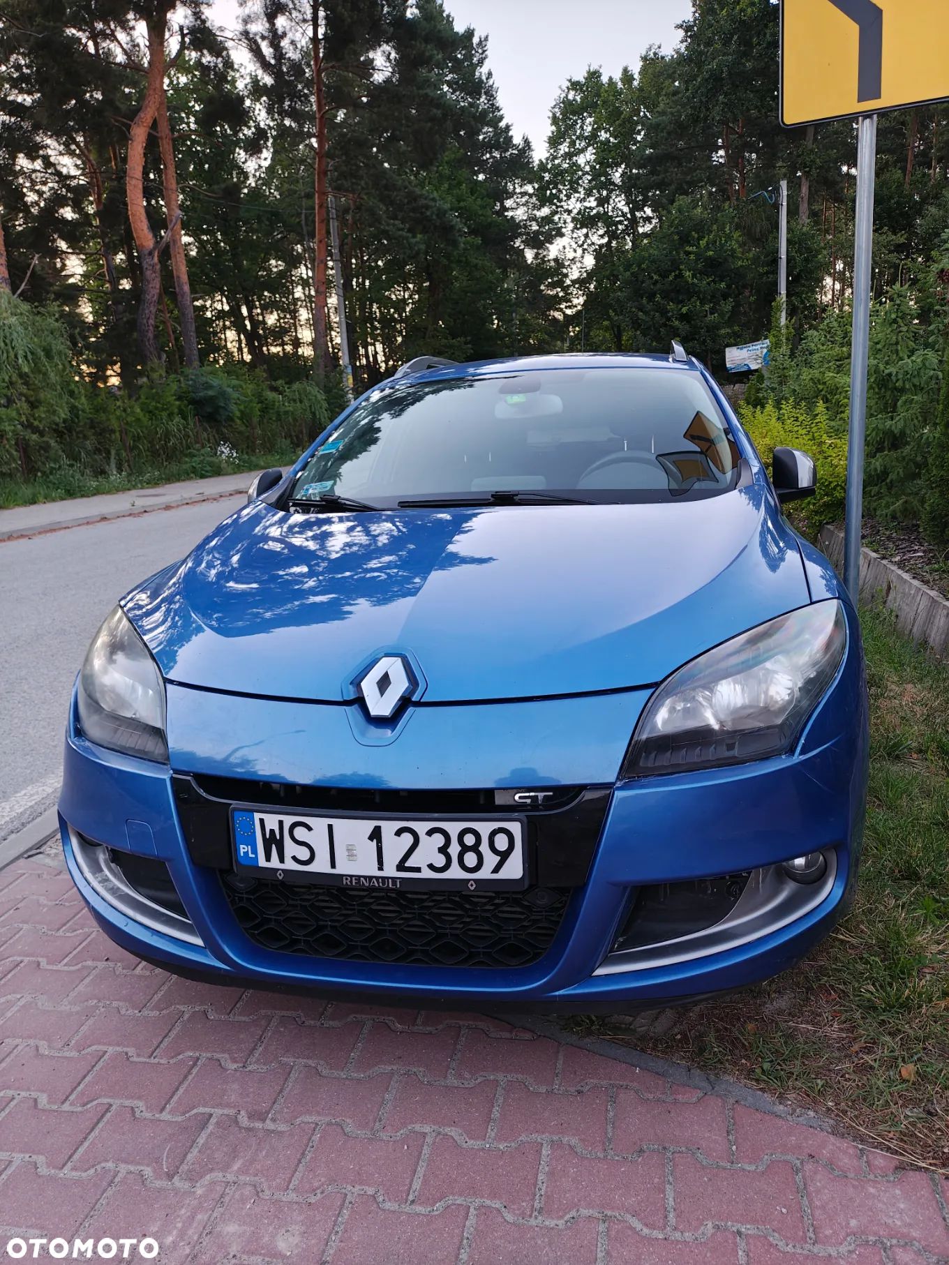 Renault Megane - 1