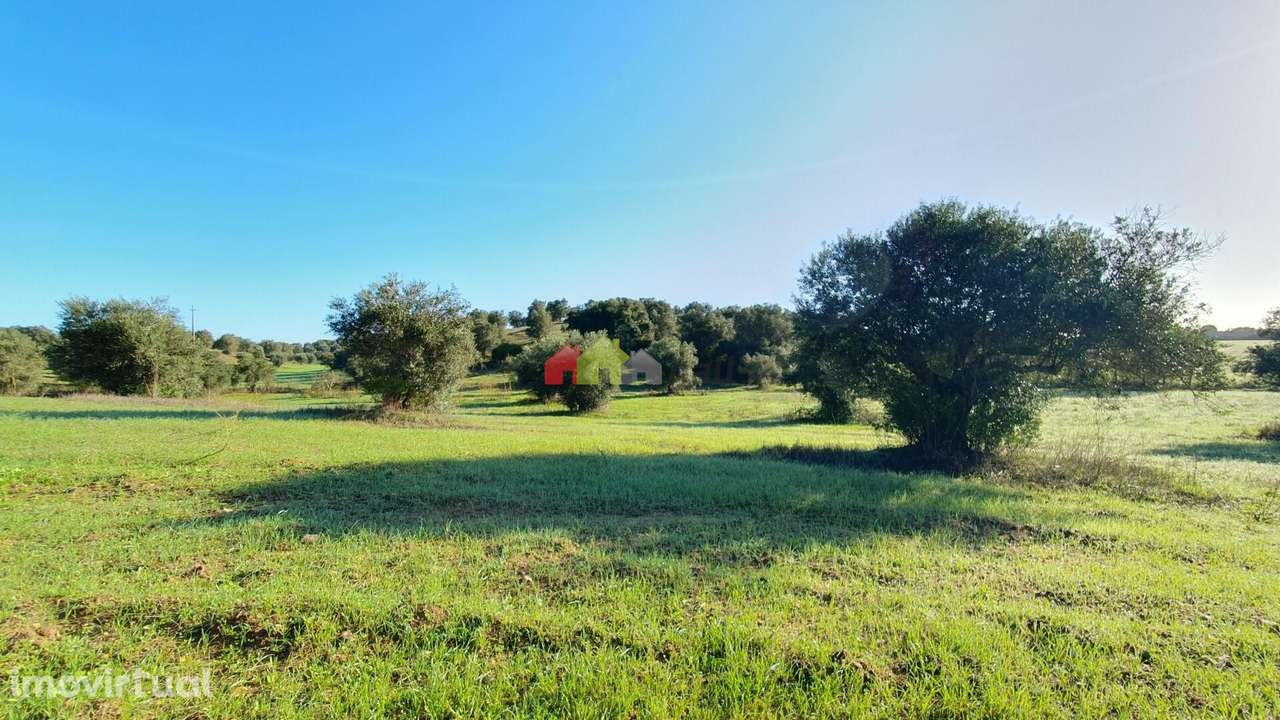 Lavre - Grande imagem: 5/16