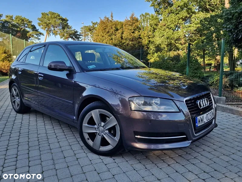 Audi A3 1.6 TDI Ambition - 2