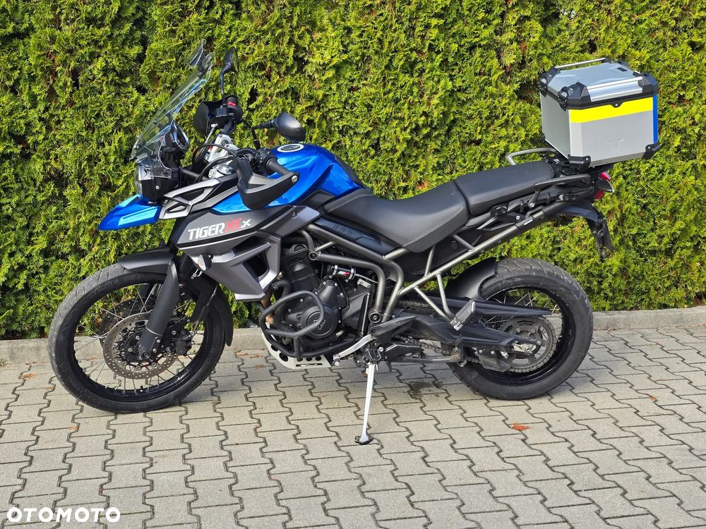Triumph Tiger - 5