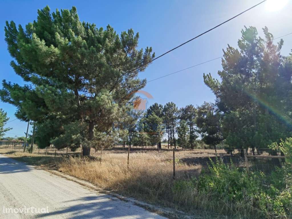 Terreno Rústico de 5.000m2 - Pinhal Novo - Grande imagem: 2/4