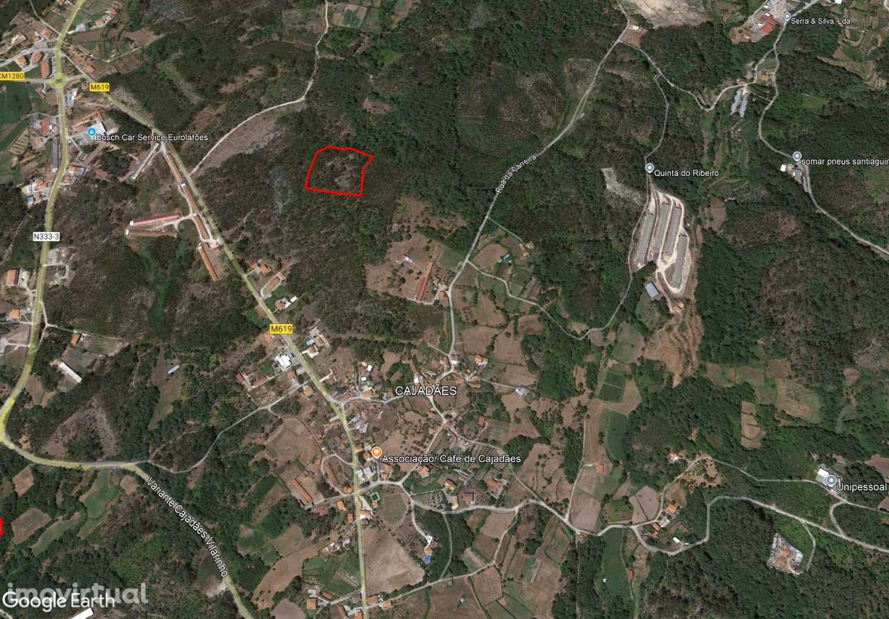 Terreno/Pinhal – Oliveira de Frades - Grande imagem: 3/5