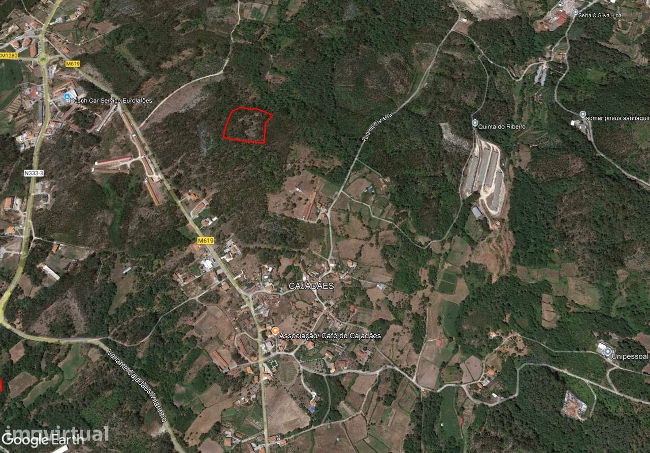 Terreno/Pinhal – Oliveira de Frades - Grande imagem: 3/5