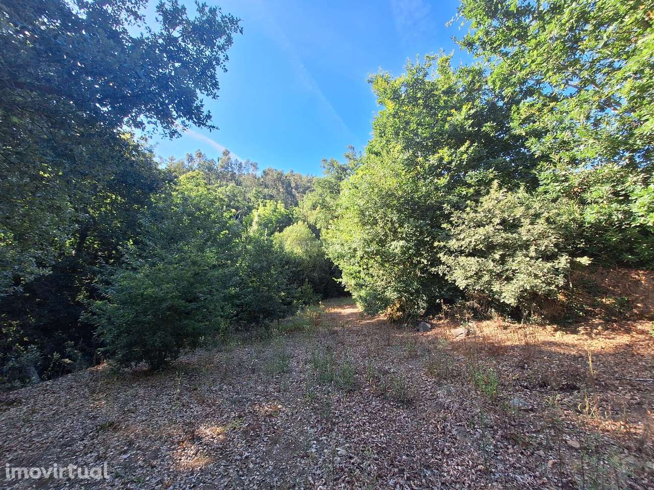 Terreno à Venda em Tropeço, Arouca - Grande imagem: 3/3