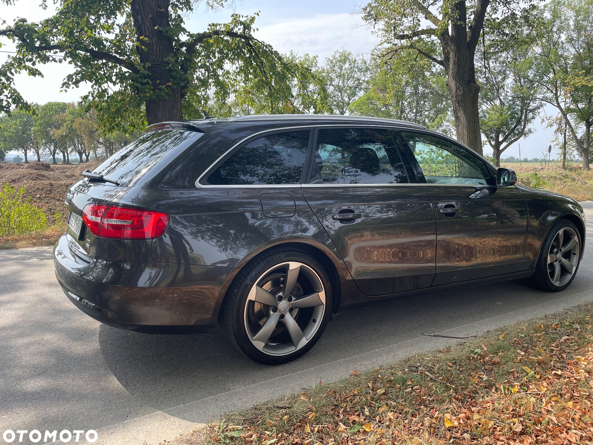 Audi A4 2.0 TDI ultra - 2
