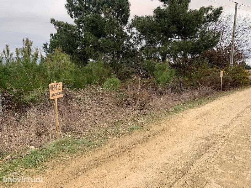 Terreno Granja - Alijó - 4400m2 - Grande imagem: 2/3