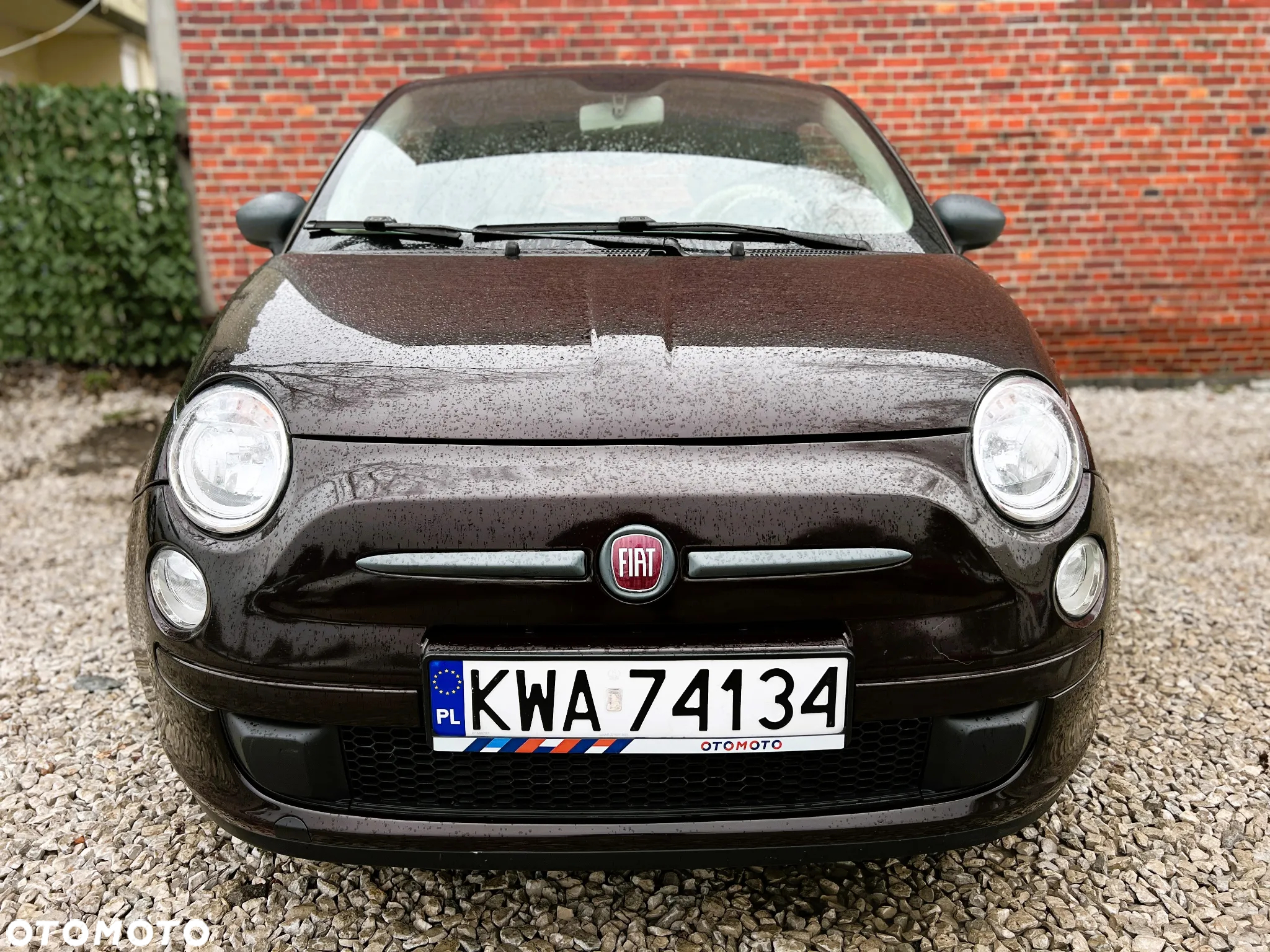 Fiat 500 - 25