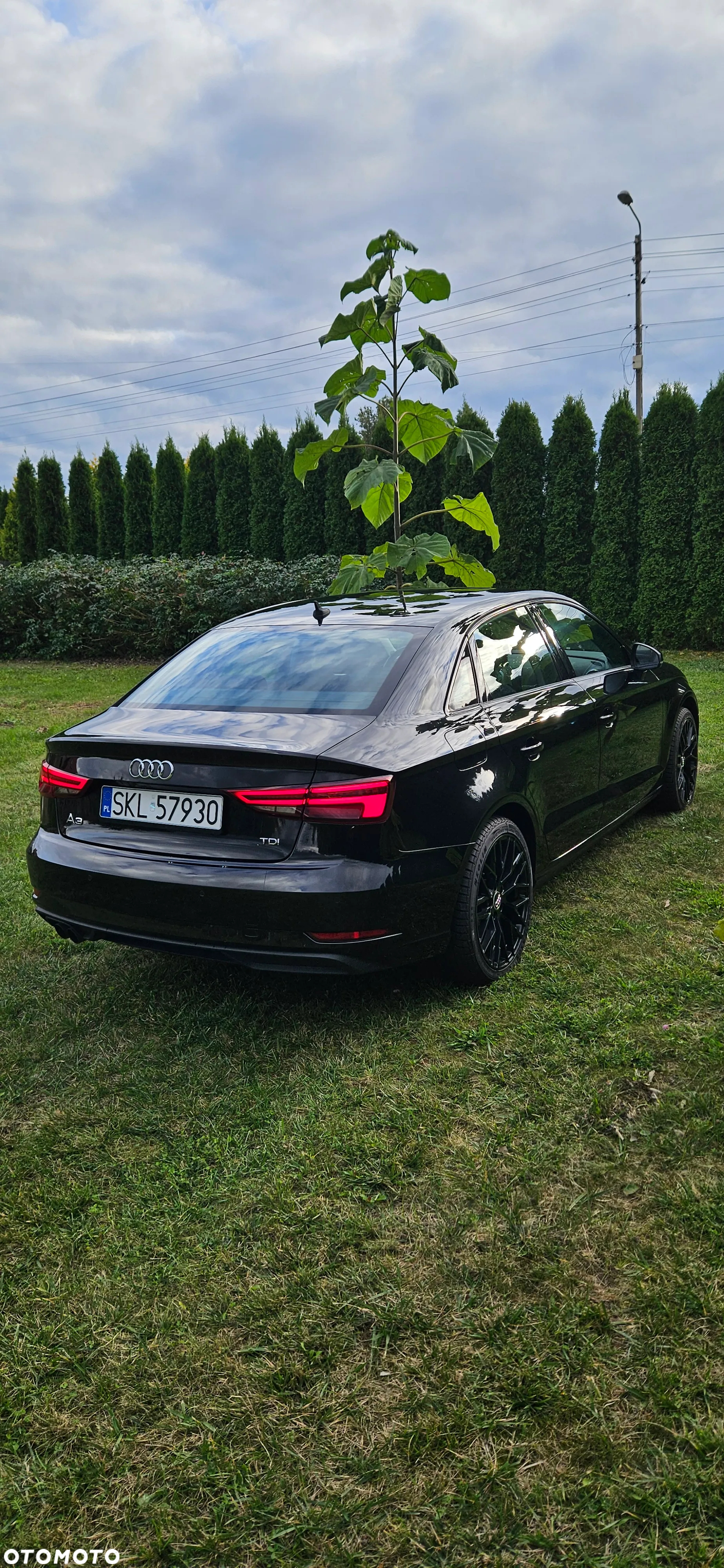 Audi A3 2.0 TDI clean diesel Ambition - 3