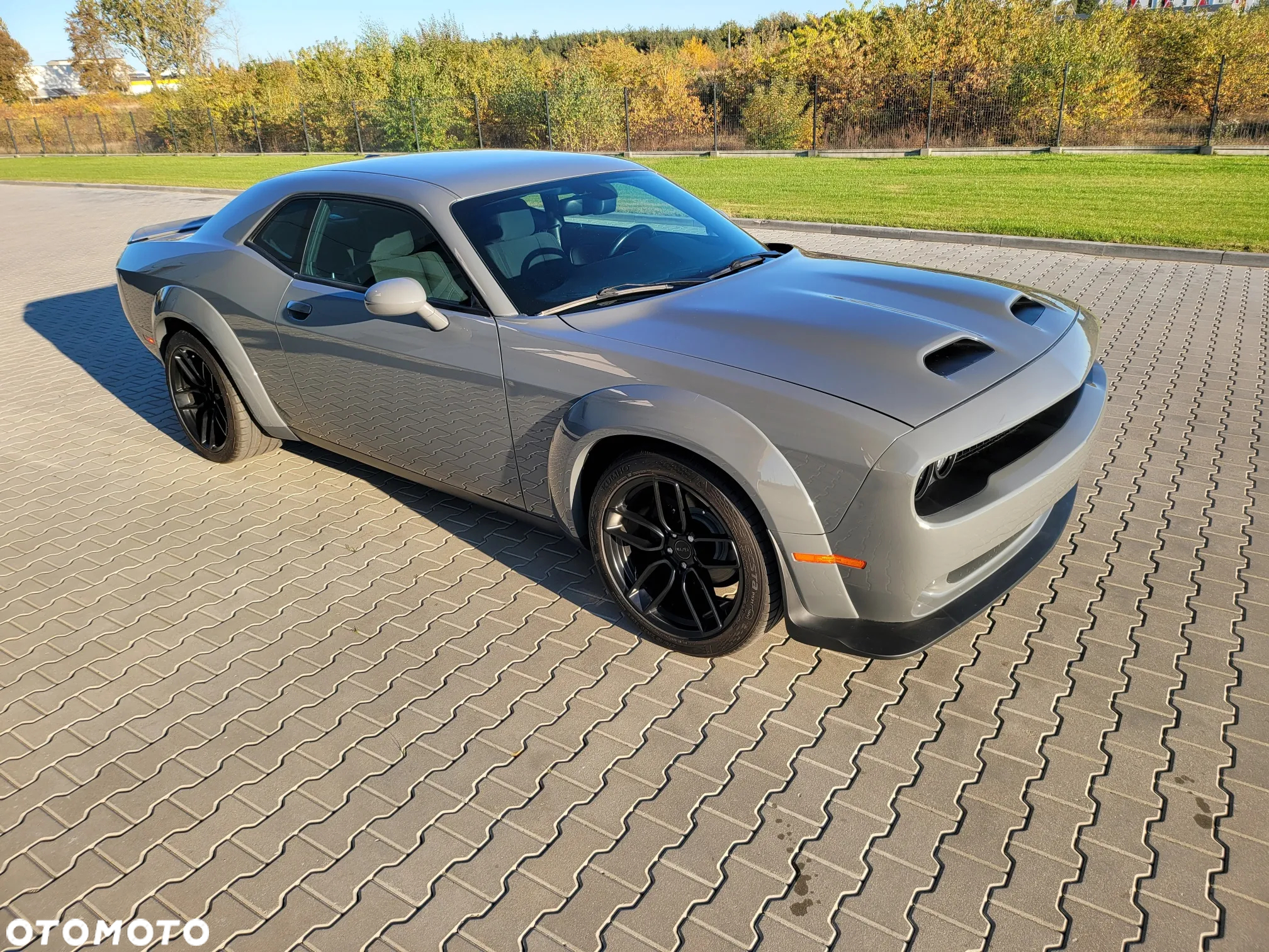 Dodge Challenger Automatik SXT Plus - 8