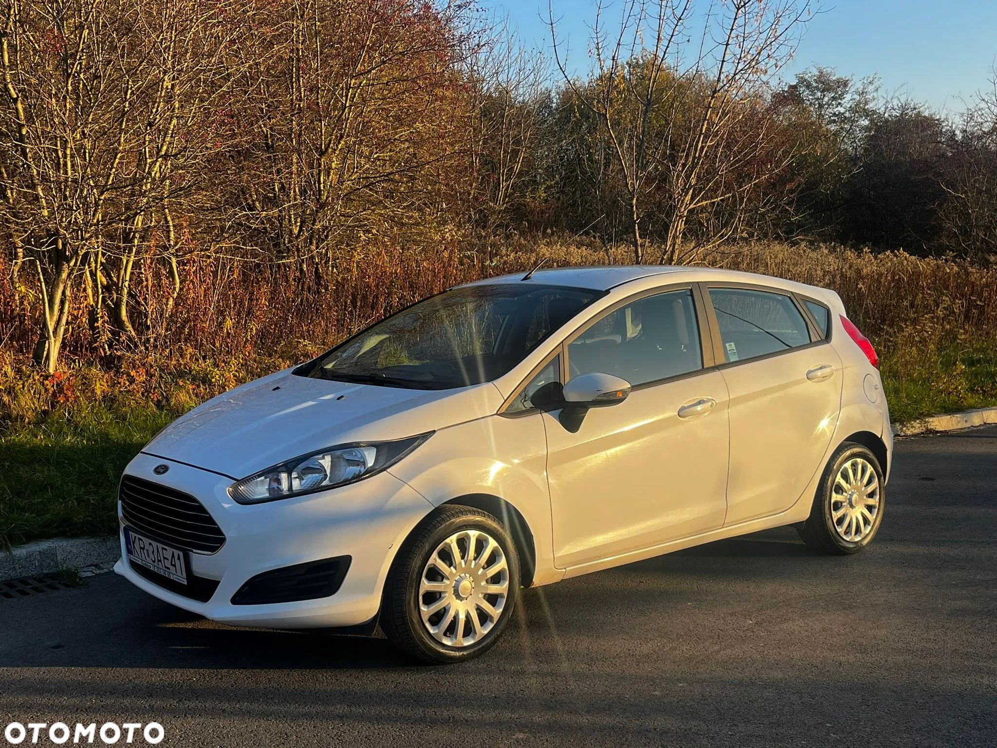 Ford Fiesta 1.6 TDCi Trend - 1
