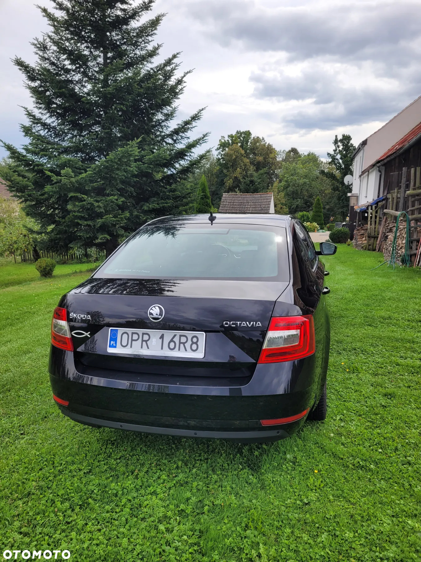 Skoda Octavia 1.6 TDI SCR Ambition - 2