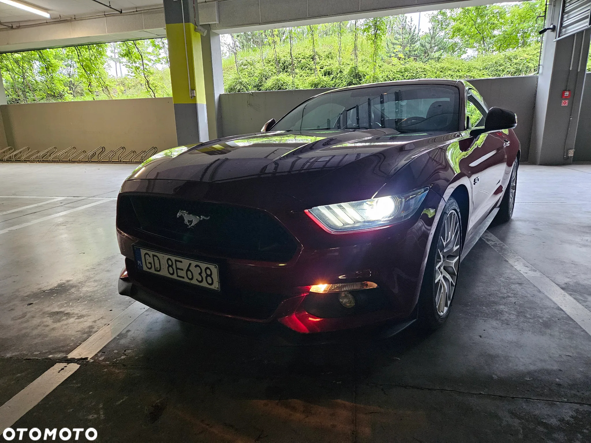 Ford Mustang 5.0 V8 GT - 35