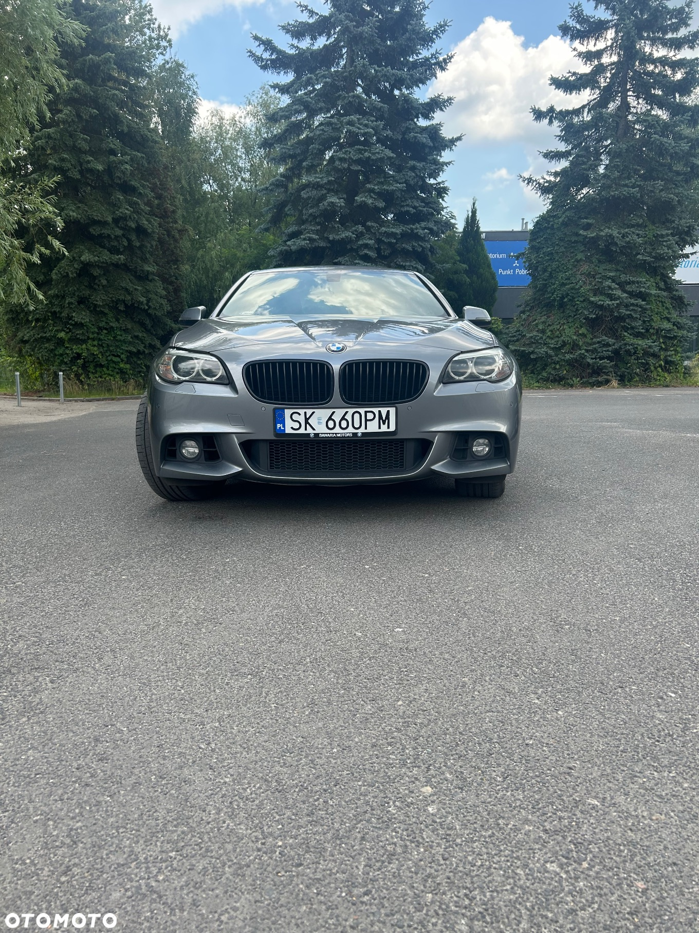 BMW Seria 5 - 36