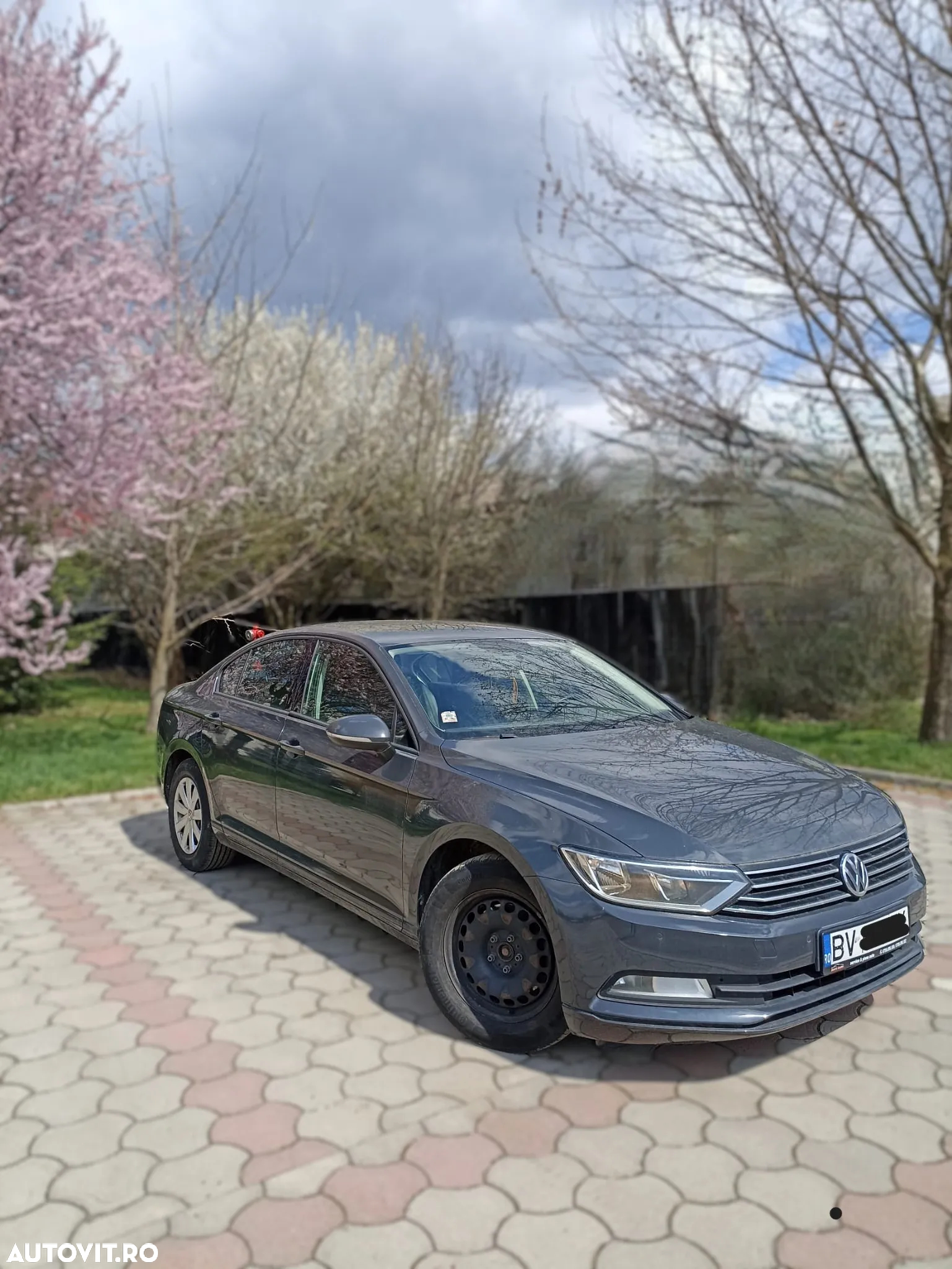 Volkswagen Passat - 4
