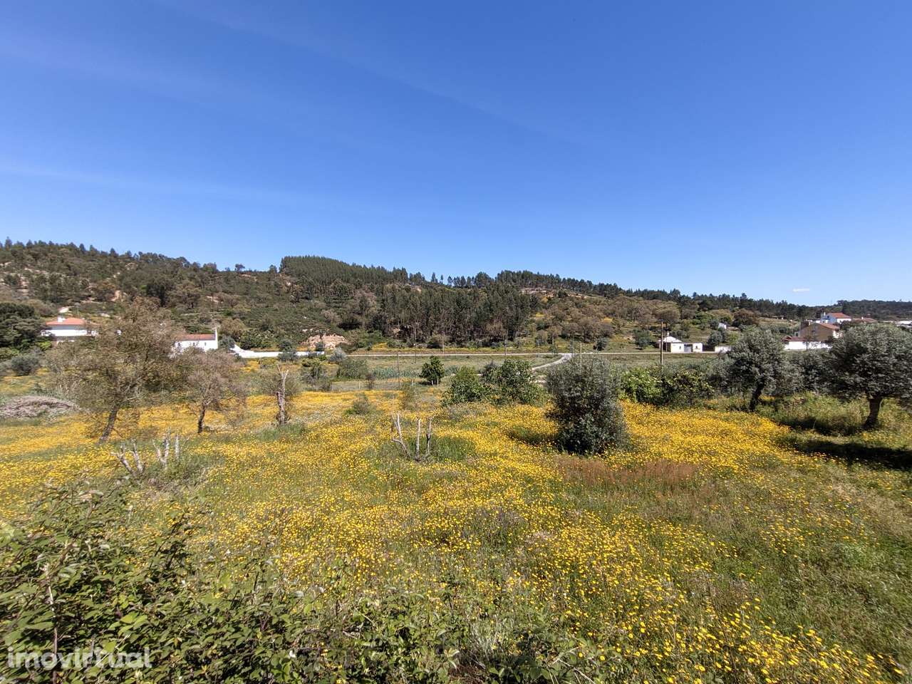 Moradia Devoluta  Venda em Aldeia do Mato e Souto,Abrantes - Grande imagem: 4/24