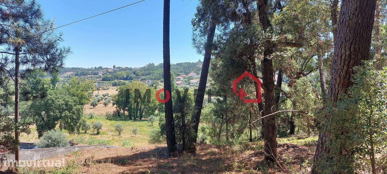 Terreno para construção com catorze mil metros quadrados ! - Grande imagem: 2/7