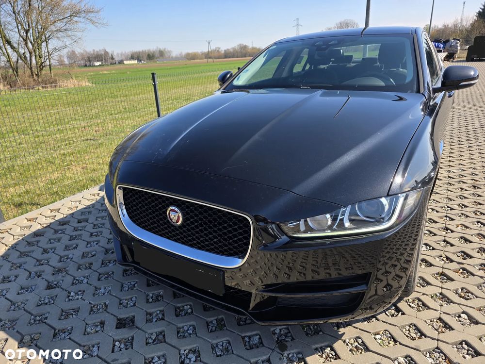 Jaguar XE E-Performance Pure - 2