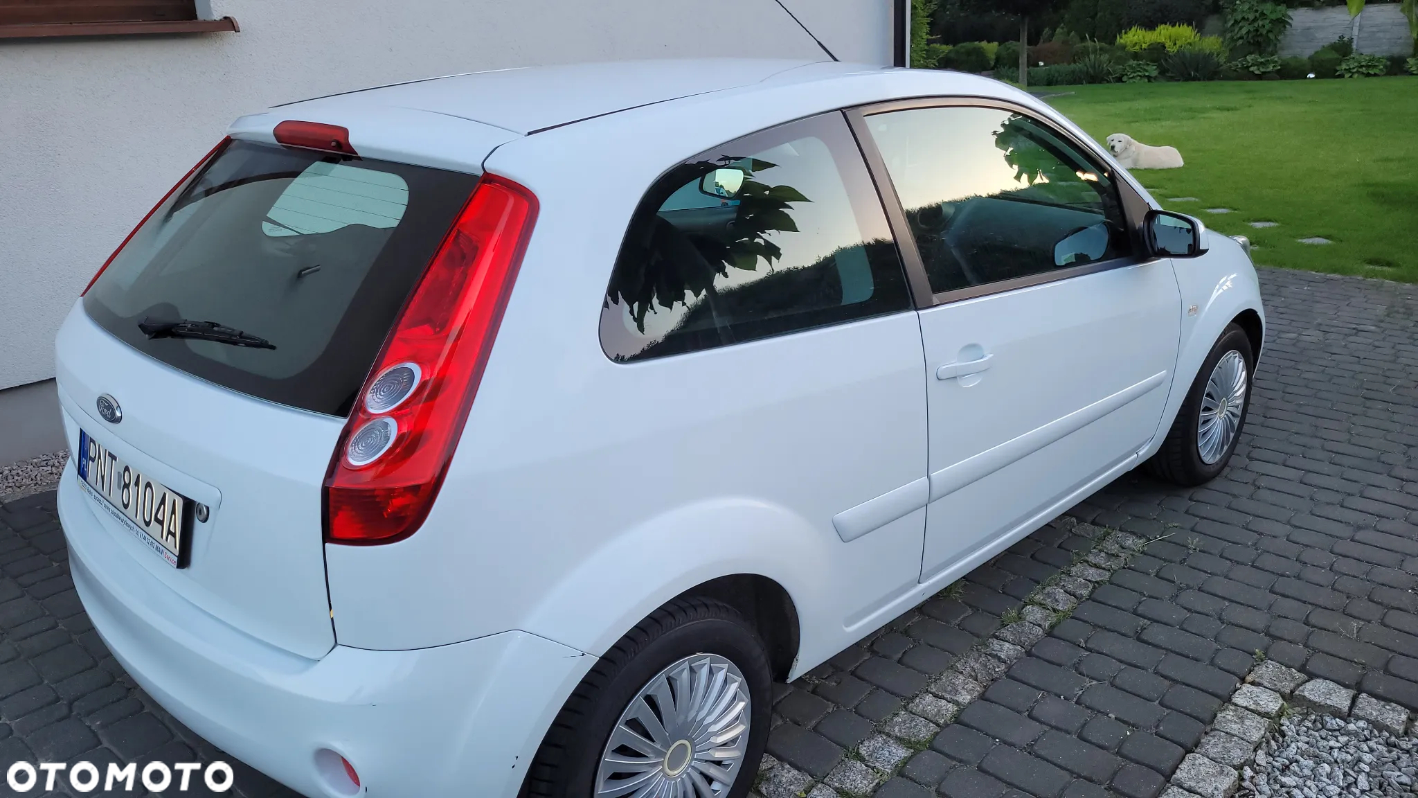 Ford Fiesta 1.3 Ambiente - 6