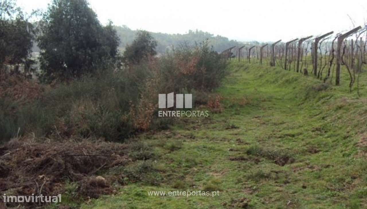 Venda Terreno, junto à estrada, Tabuado, Marco de Canaveses - Grande imagem: 4/8