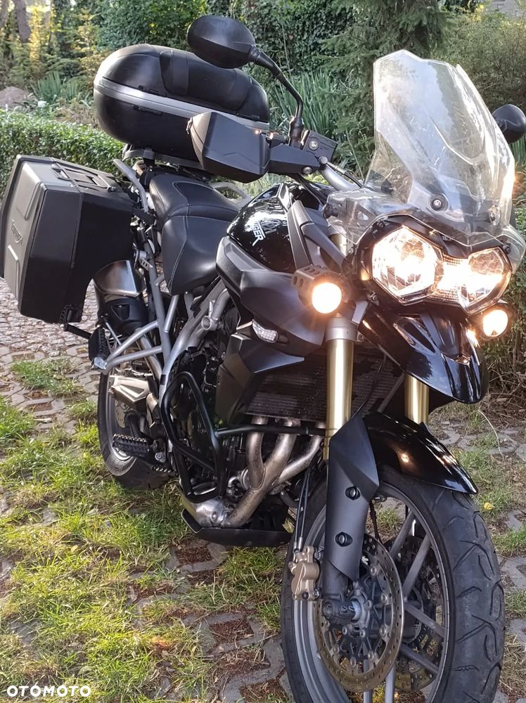 Triumph Tiger - 5