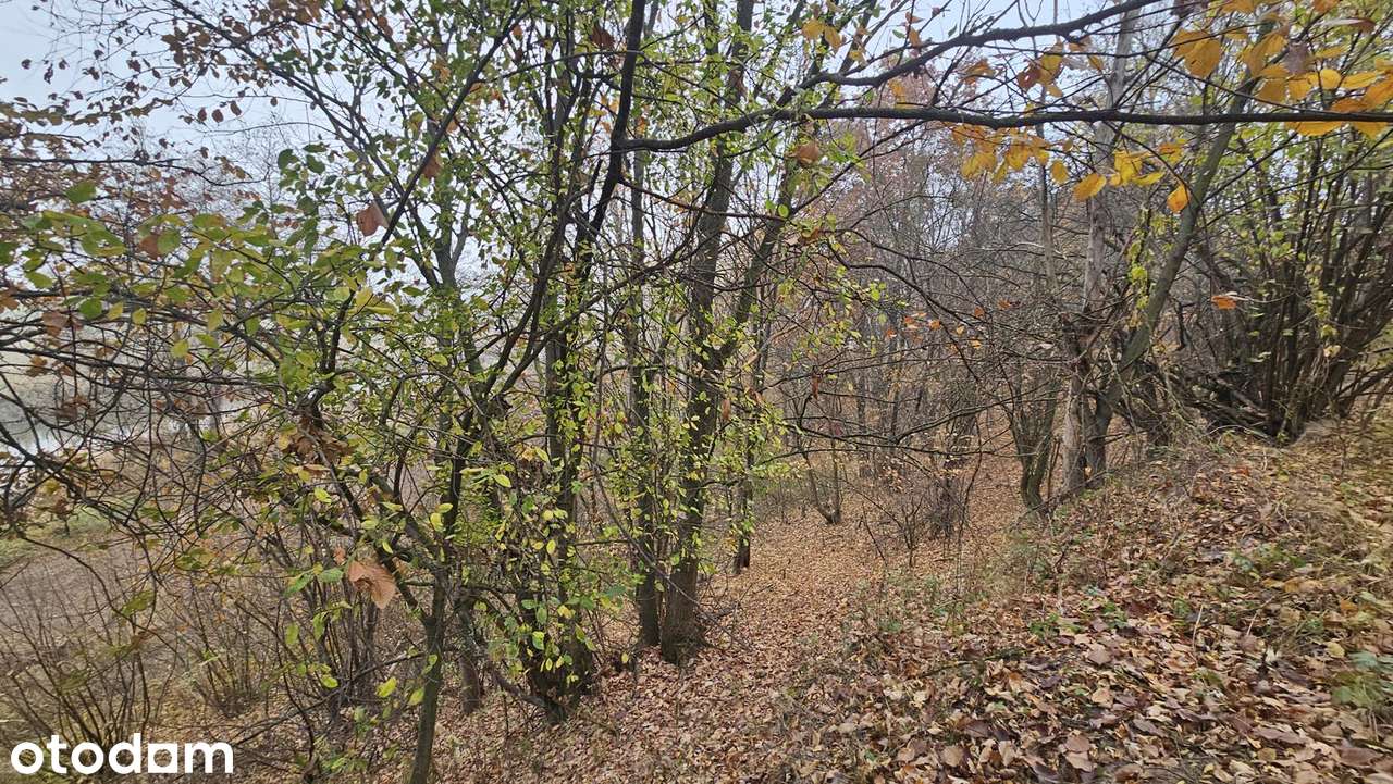 Działka o powierzchni 11300 m2 - Pełny obrazek: 5/8