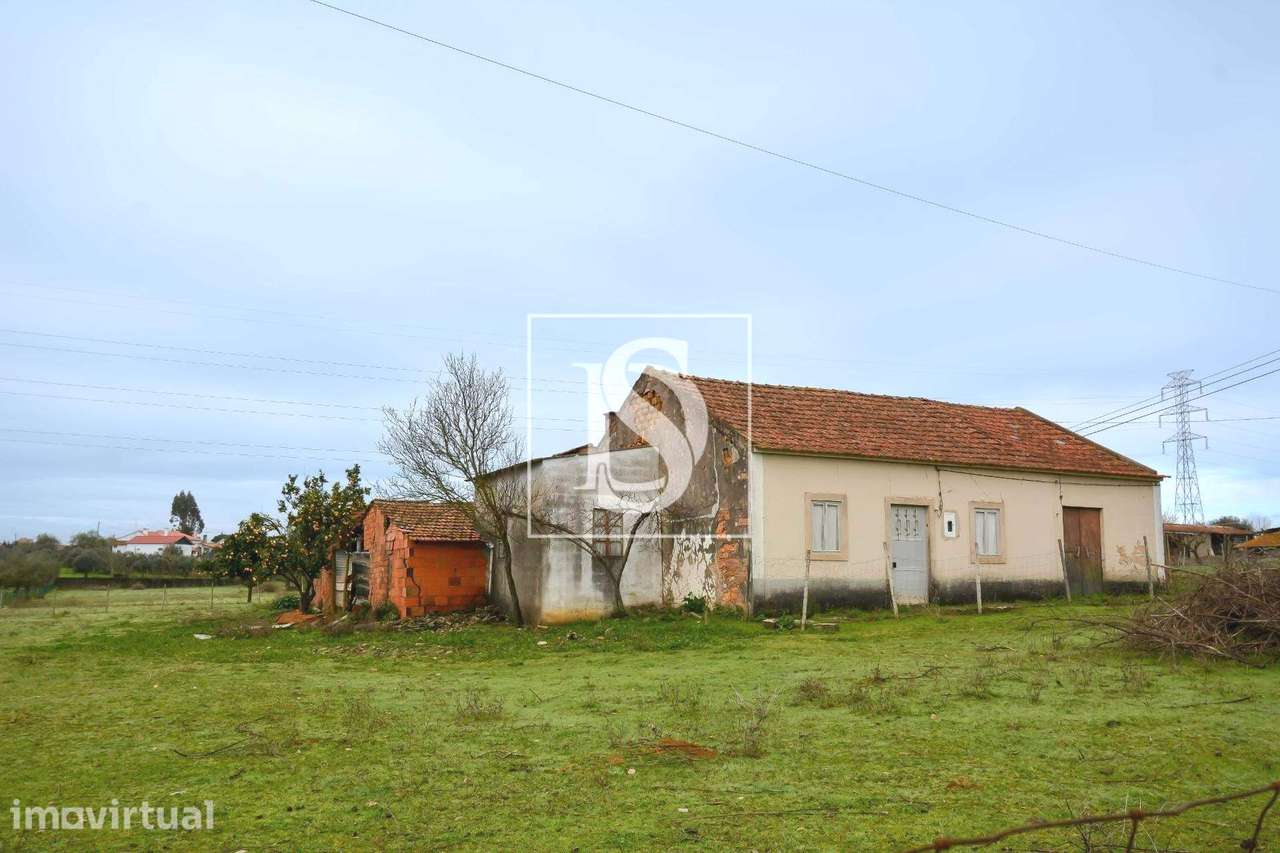 Moradia T4 Venda em Casais e Alviobeira,Tomar - Grande imagem: 5/10