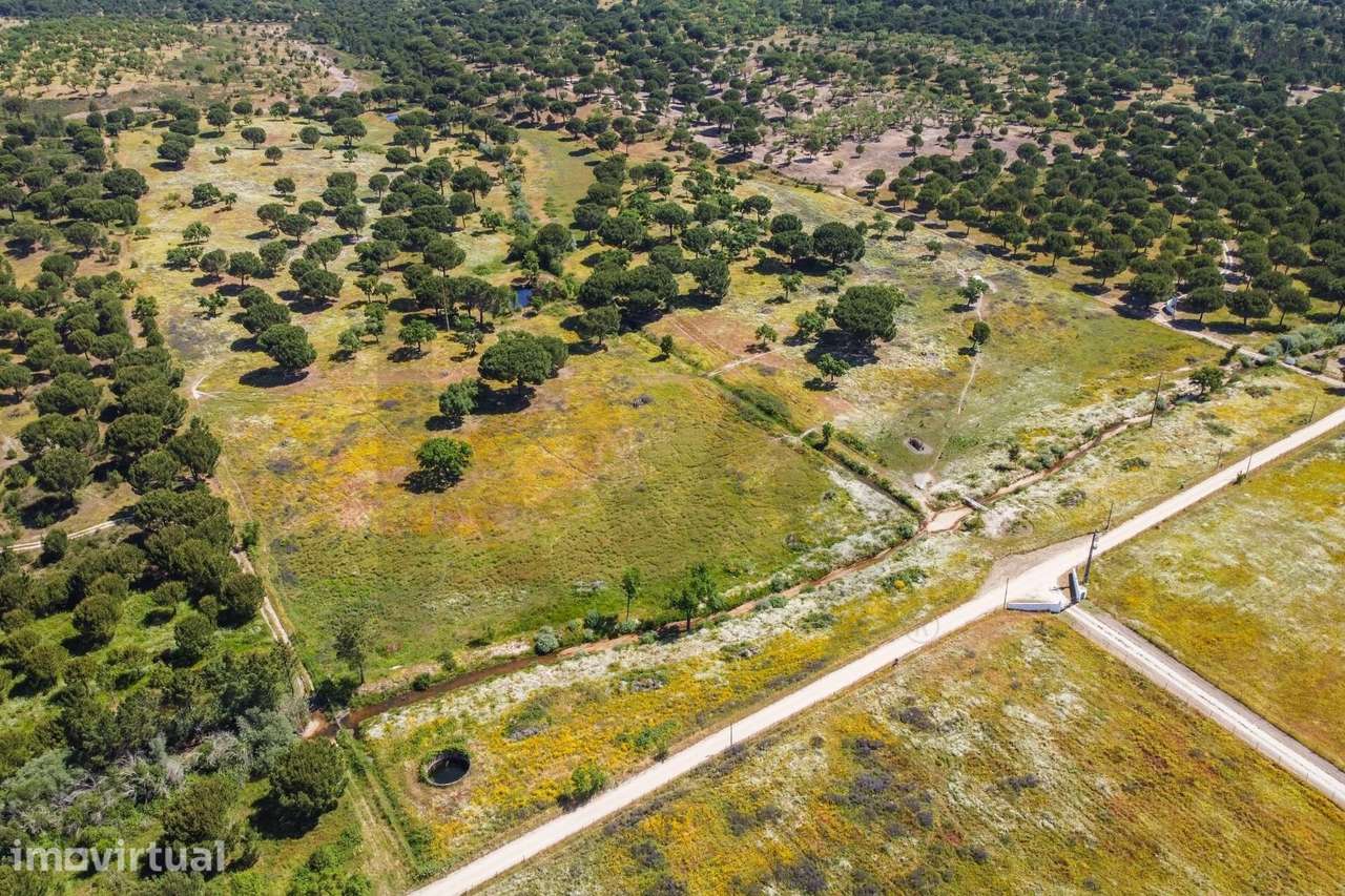 Herdade dos Barrões | 27.9 Ha | 3 Moradias | Piscina | Estrutura Eques - Grande imagem: 4/60