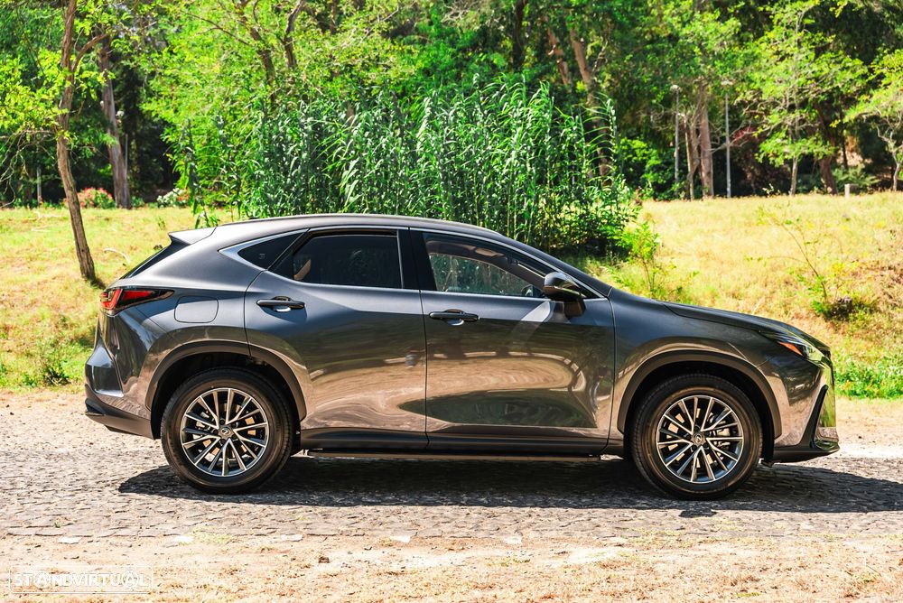 Lexus NX 450h+ - 5