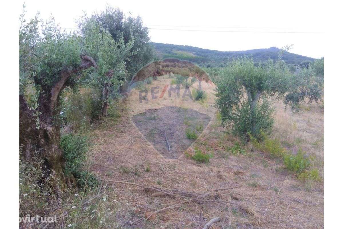 Terreno  para venda - Grande imagem: 4/4