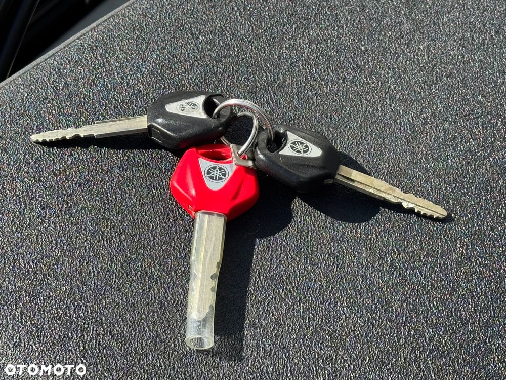 Yamaha Super Tenere - 25