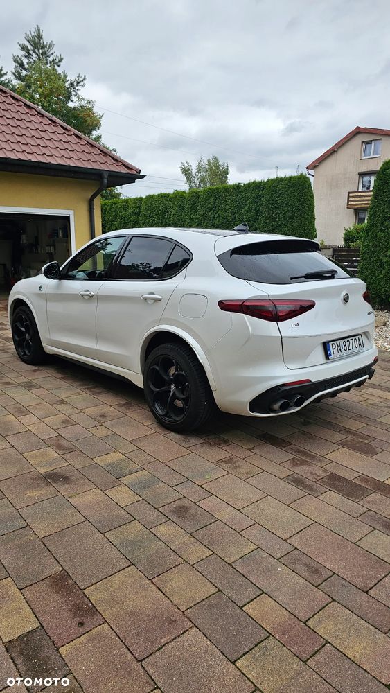Alfa Romeo Stelvio 2.9 V6 Bi-Turbo Quadrifoglio Q4 - 15