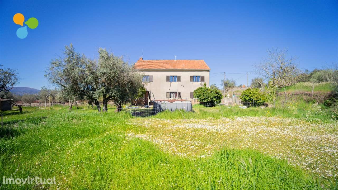 Quintinha com 3 casas - Grande imagem: 5/34