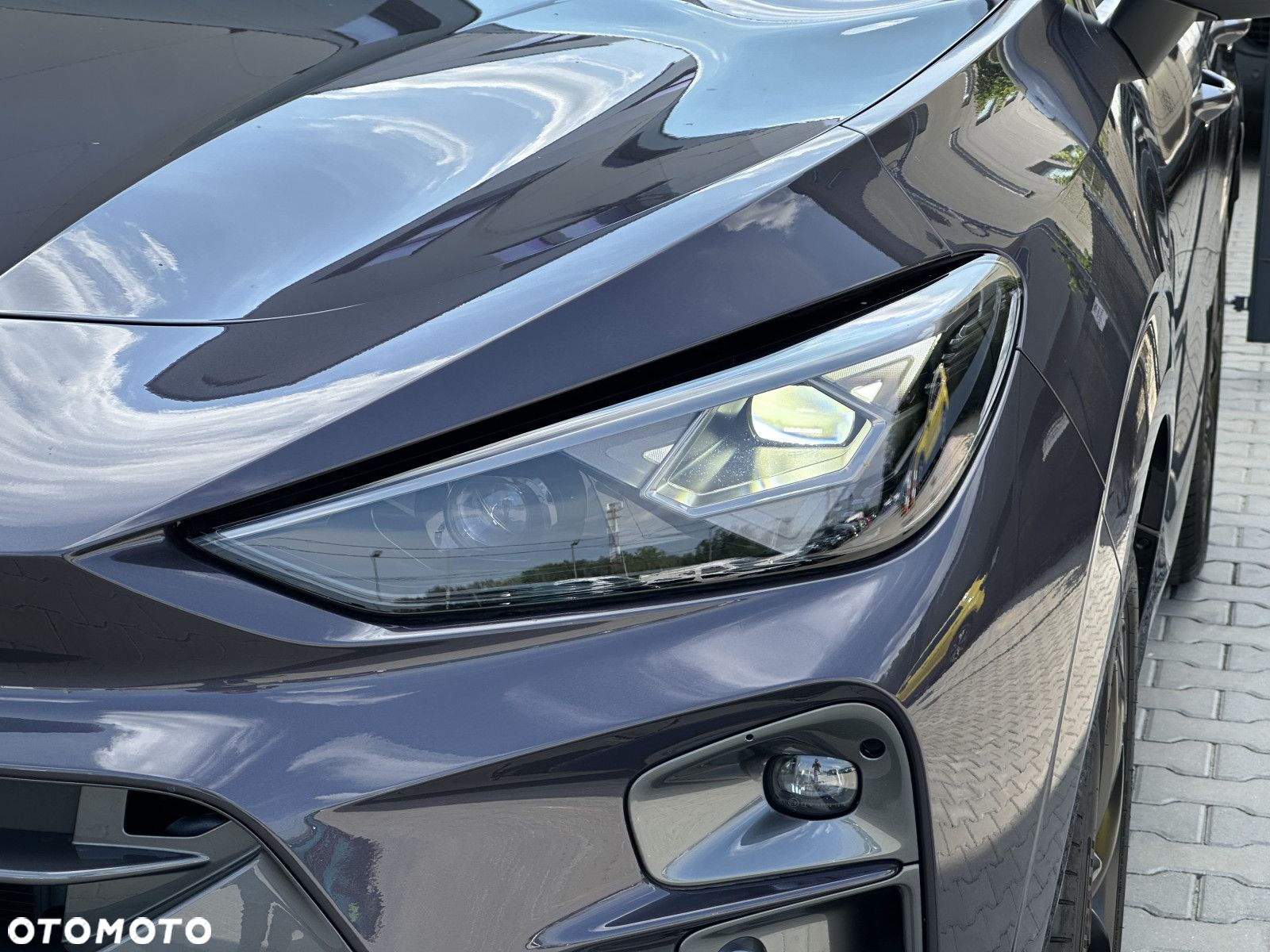 Cupra Terramar - 9