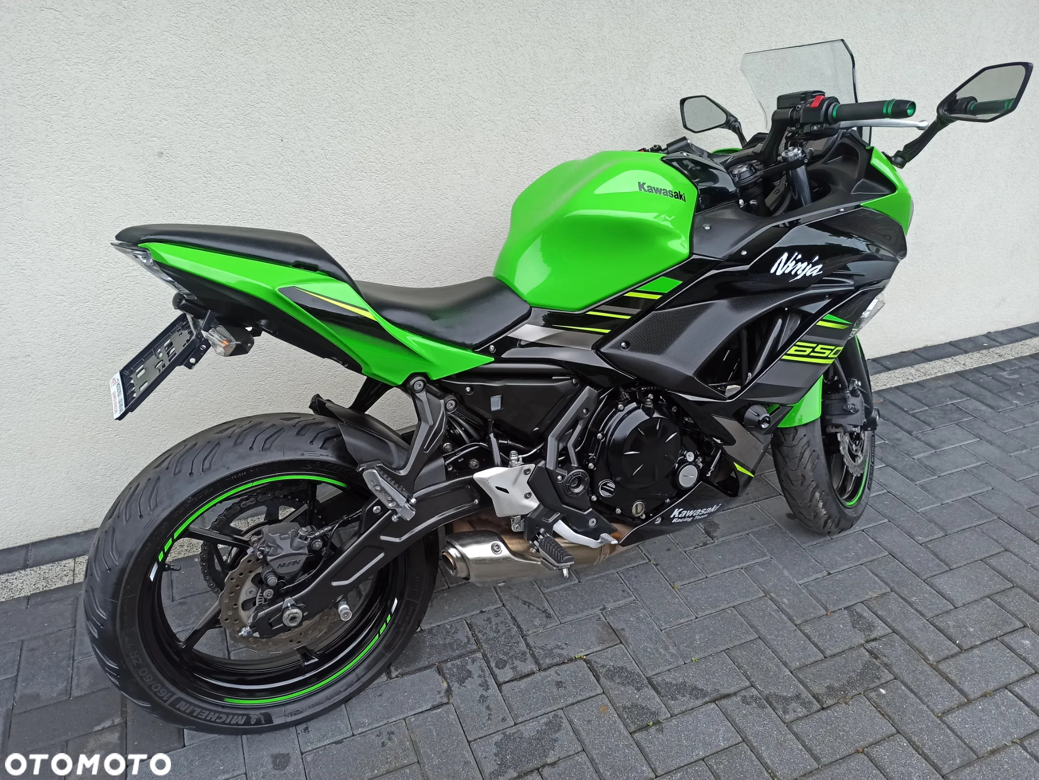Kawasaki Ninja - 10