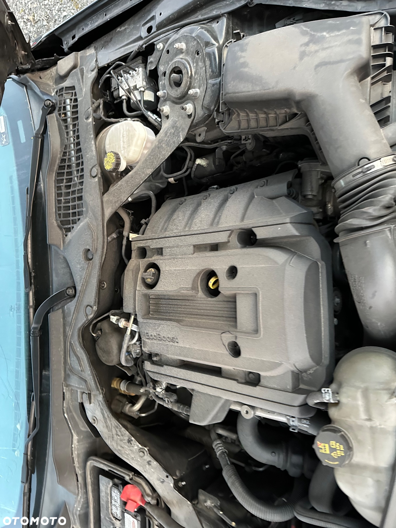 Ford Mustang Cabrio 2.3 Eco Boost - 8