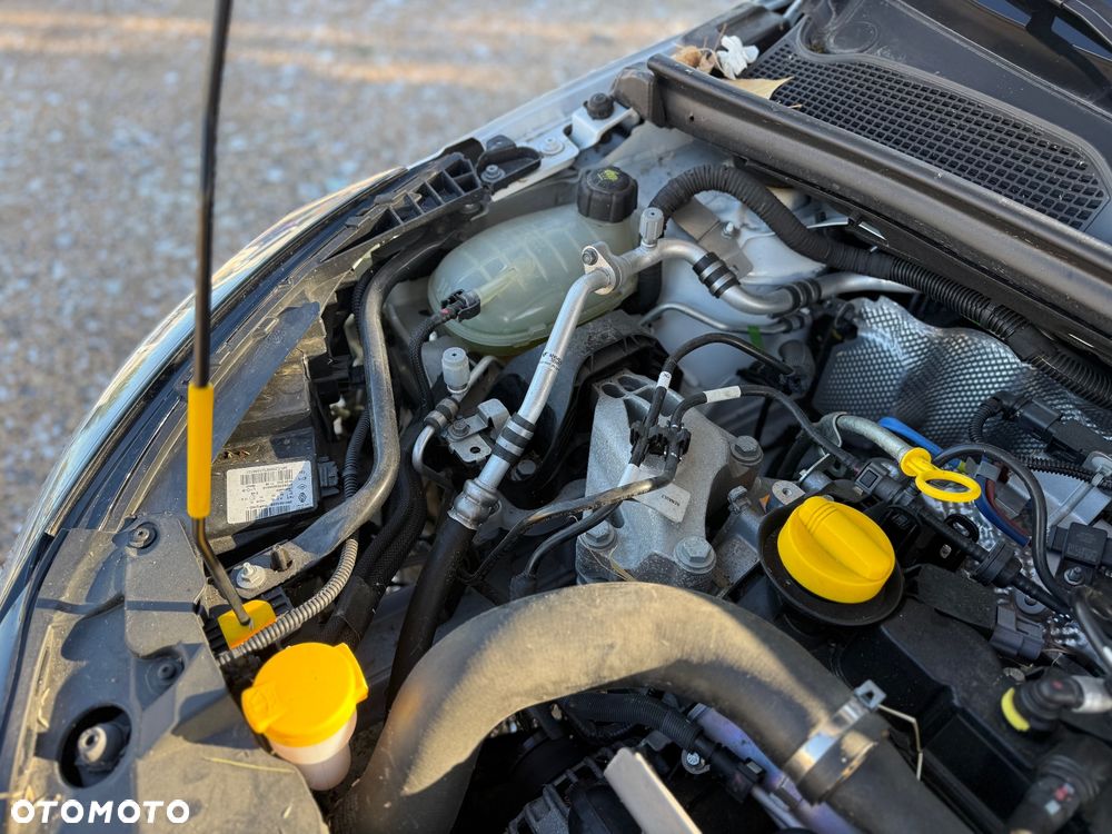 Renault Clio - 26