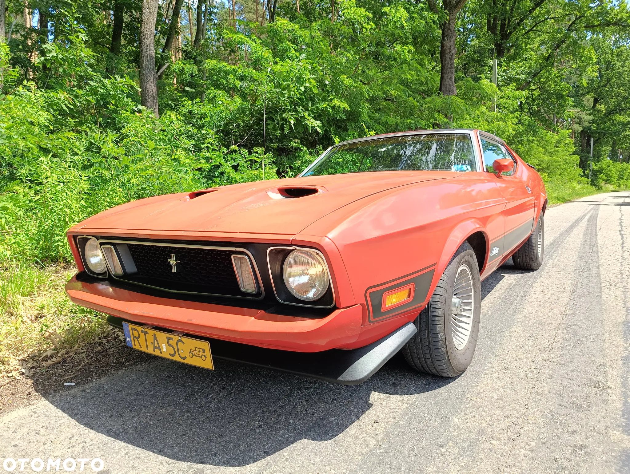 Ford Mustang - 5