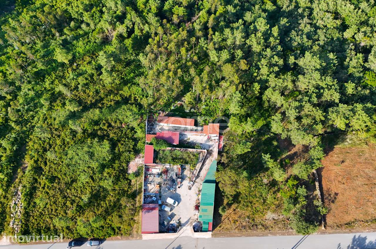 Terreno com 4.800 m² em Vale de Cântaro, Coimbra - Grande imagem: 3/15