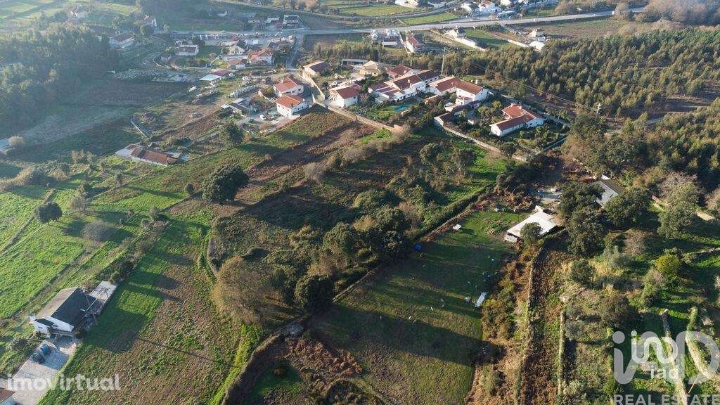 Terreno em Pinheiro da Bemposta, Travanca e Palmaz - Grande imagem: 4/14