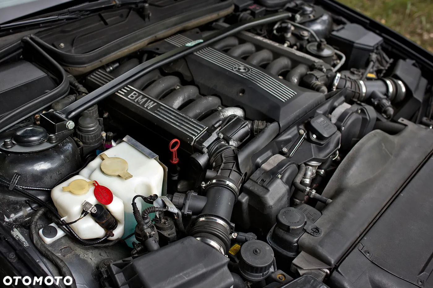 BMW Seria 8 850 Ci - 24